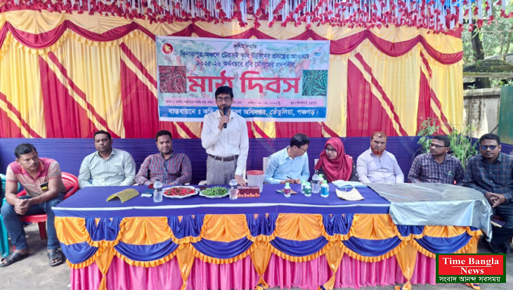 পঞ্চগড়ের তেঁতুলিয়ায় মালচিং পদ্ধতিতে মরিচ চাষের উপর মাঠ দিবস অনুষ্ঠিত